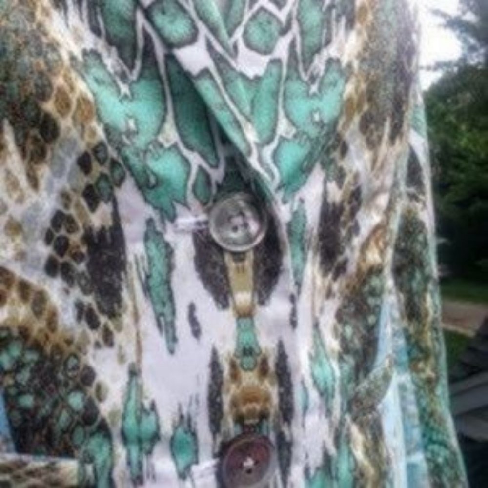 Paperwhite Reptile Print 2 Button Blazer Mint Gre… - image 3